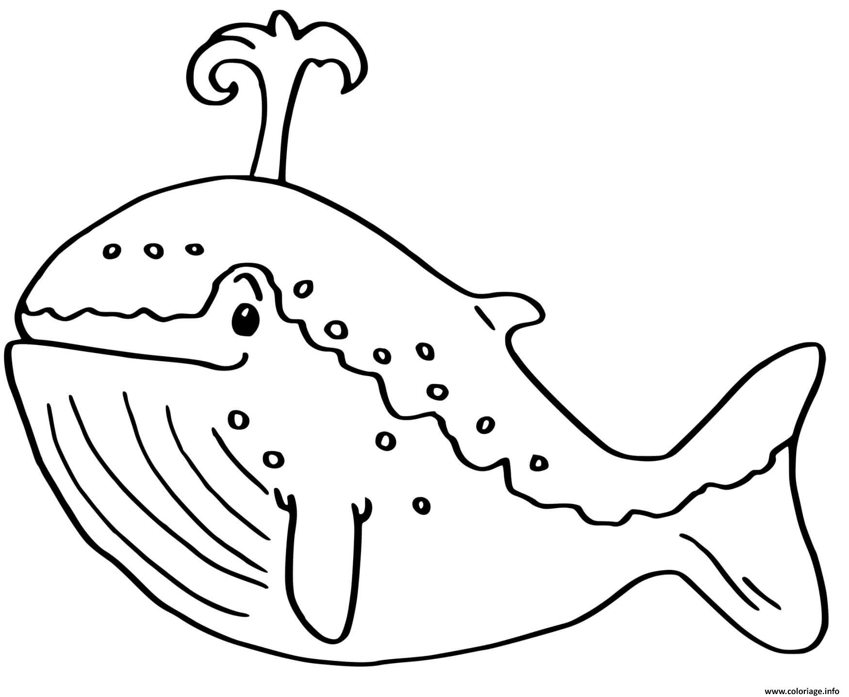Dessin baleine bleue Coloriage Gratuit à Imprimer