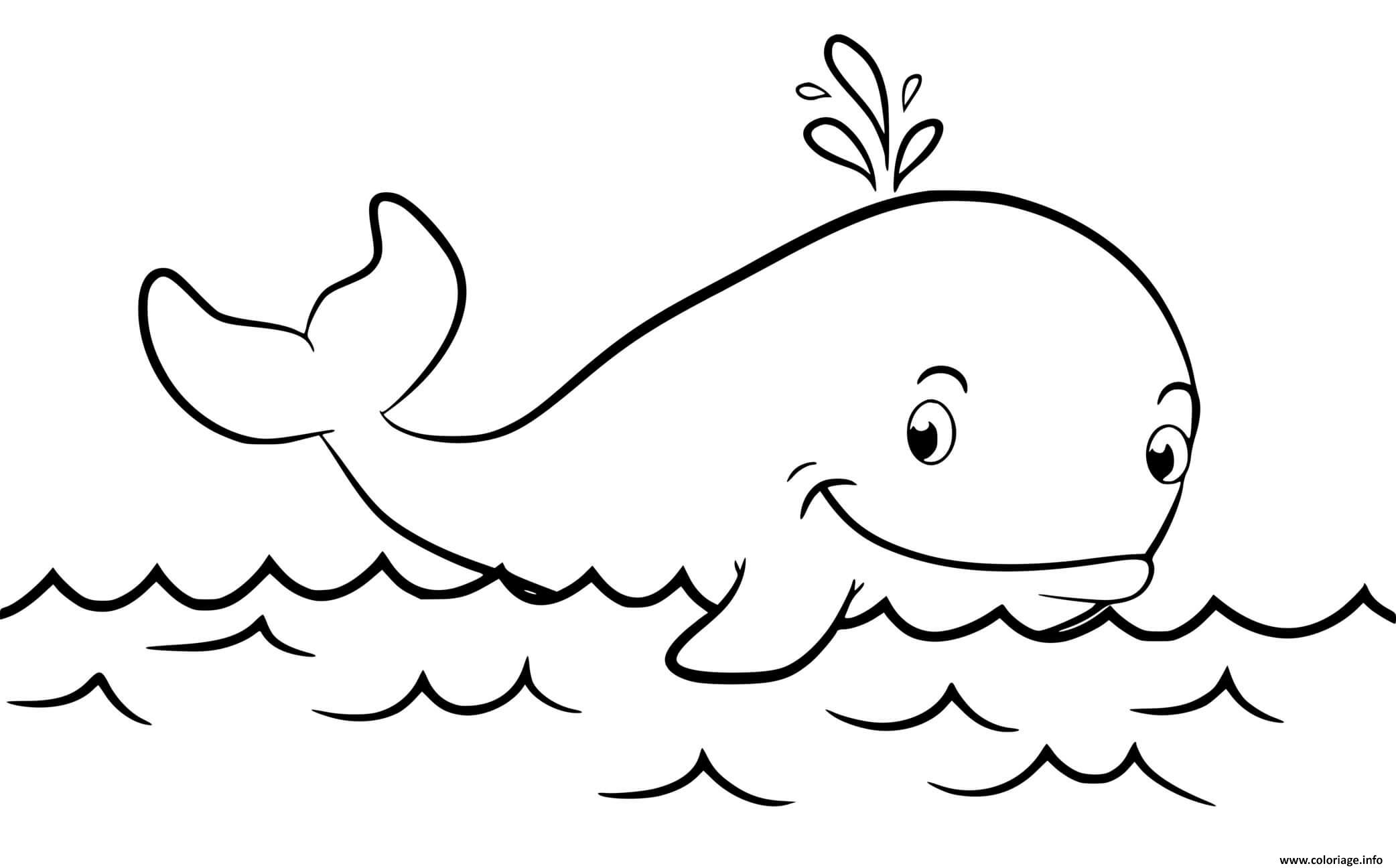 Dessin baleine de cuvier sur la mer eau animal marin Coloriage Gratuit à Imprimer