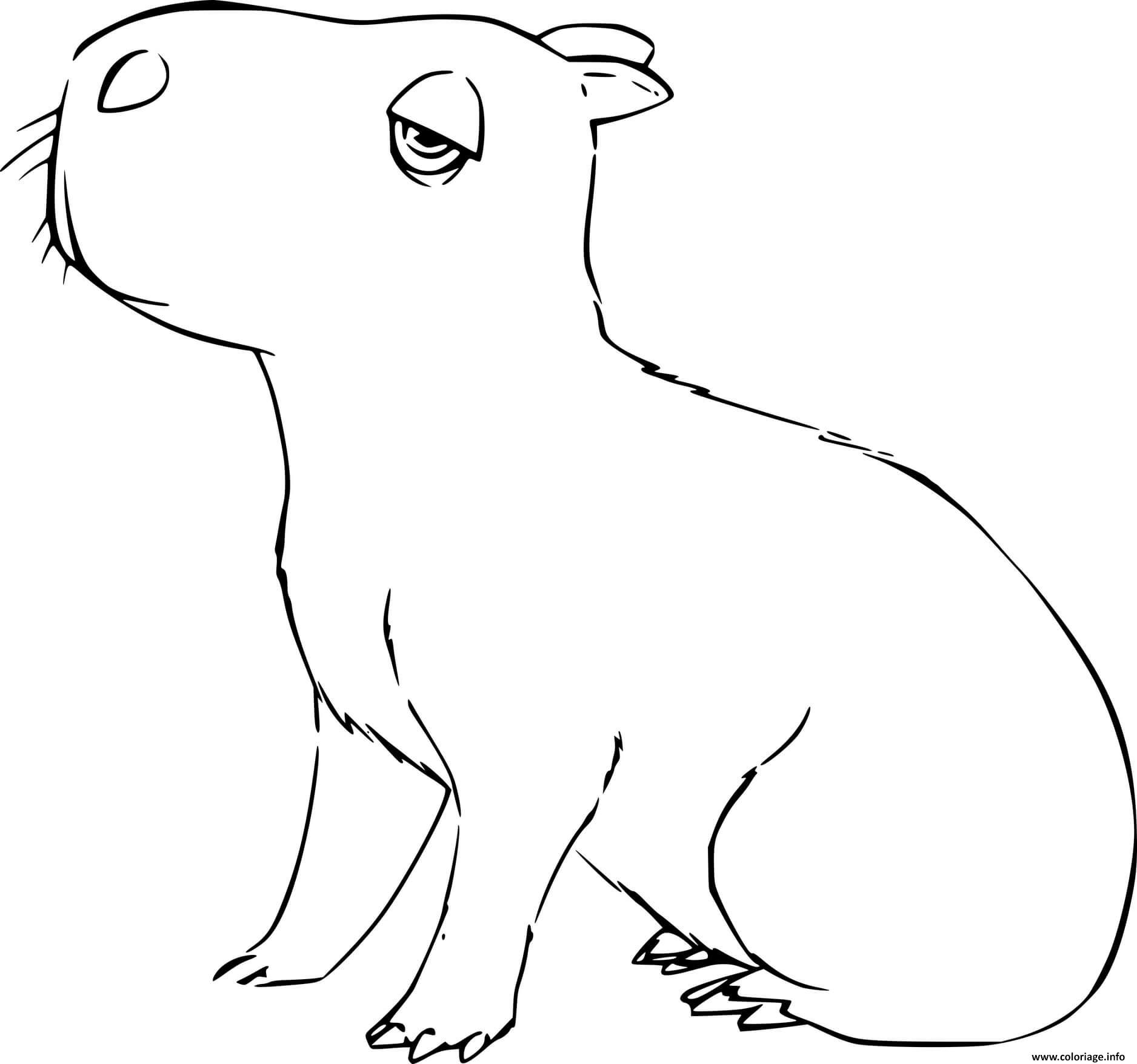 Coloriage Capybara From Encanto Dessin Encanto à imprimer