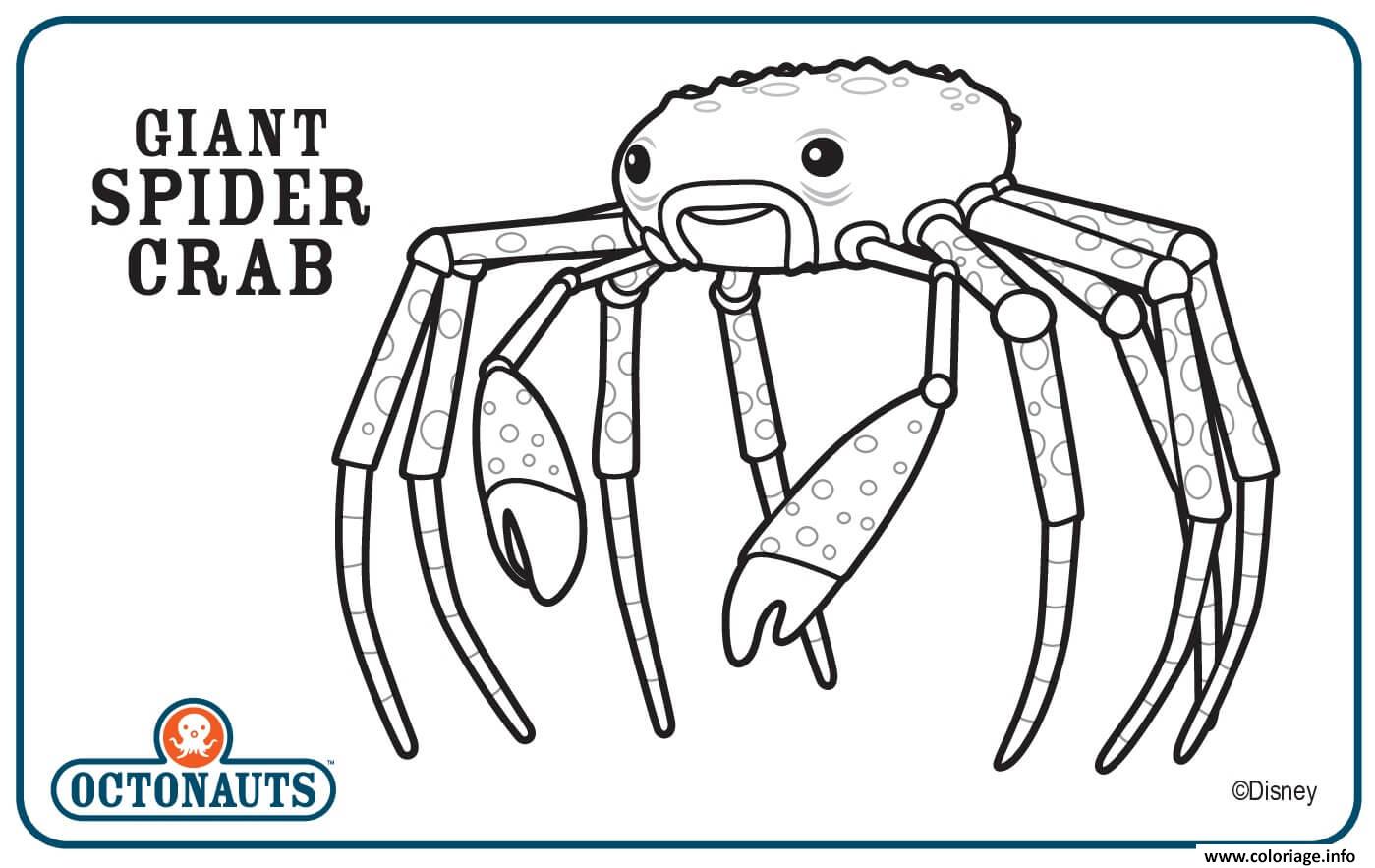Dessin giant spider crab octonaute creature Coloriage Gratuit à Imprimer