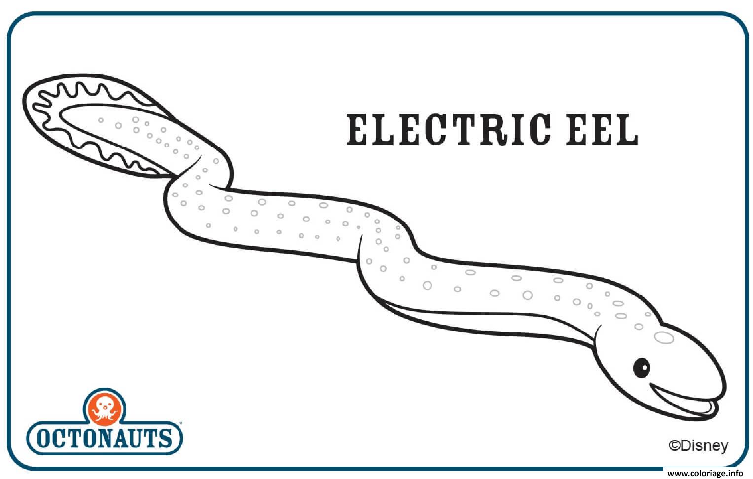 Dessin electric Eel Coloriage Gratuit à Imprimer