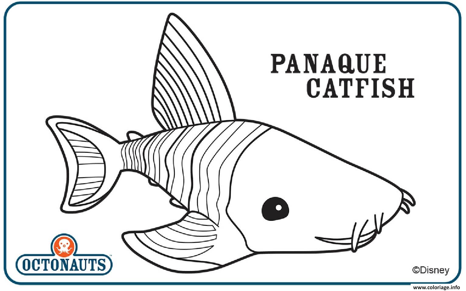 Dessin panaque catfish octonaute creature Coloriage Gratuit à Imprimer