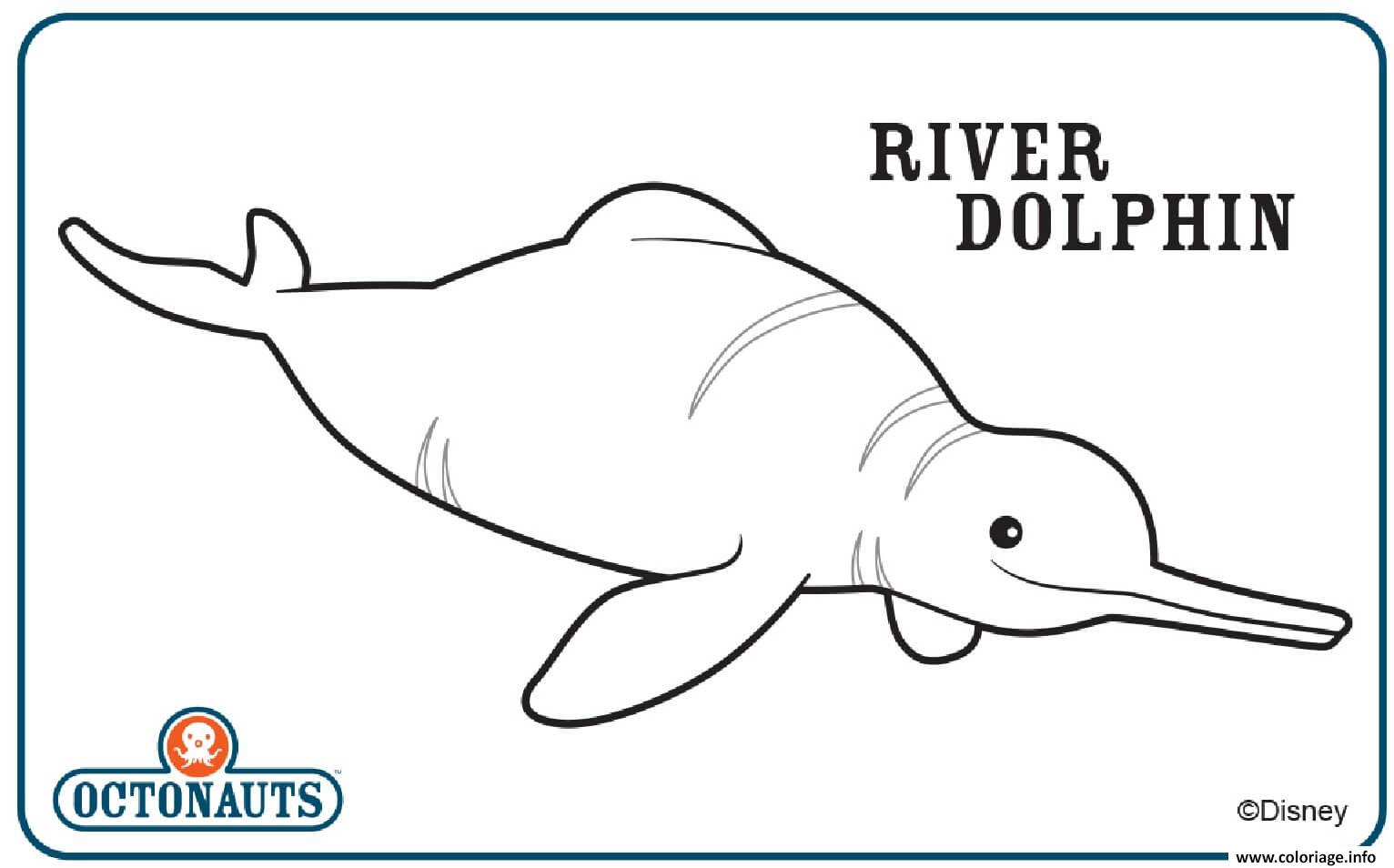 Dessin river dolphin octonaute creature Coloriage Gratuit à Imprimer