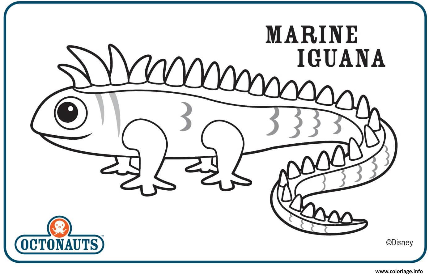 Dessin Marine Iguana octonaute creature Coloriage Gratuit à Imprimer
