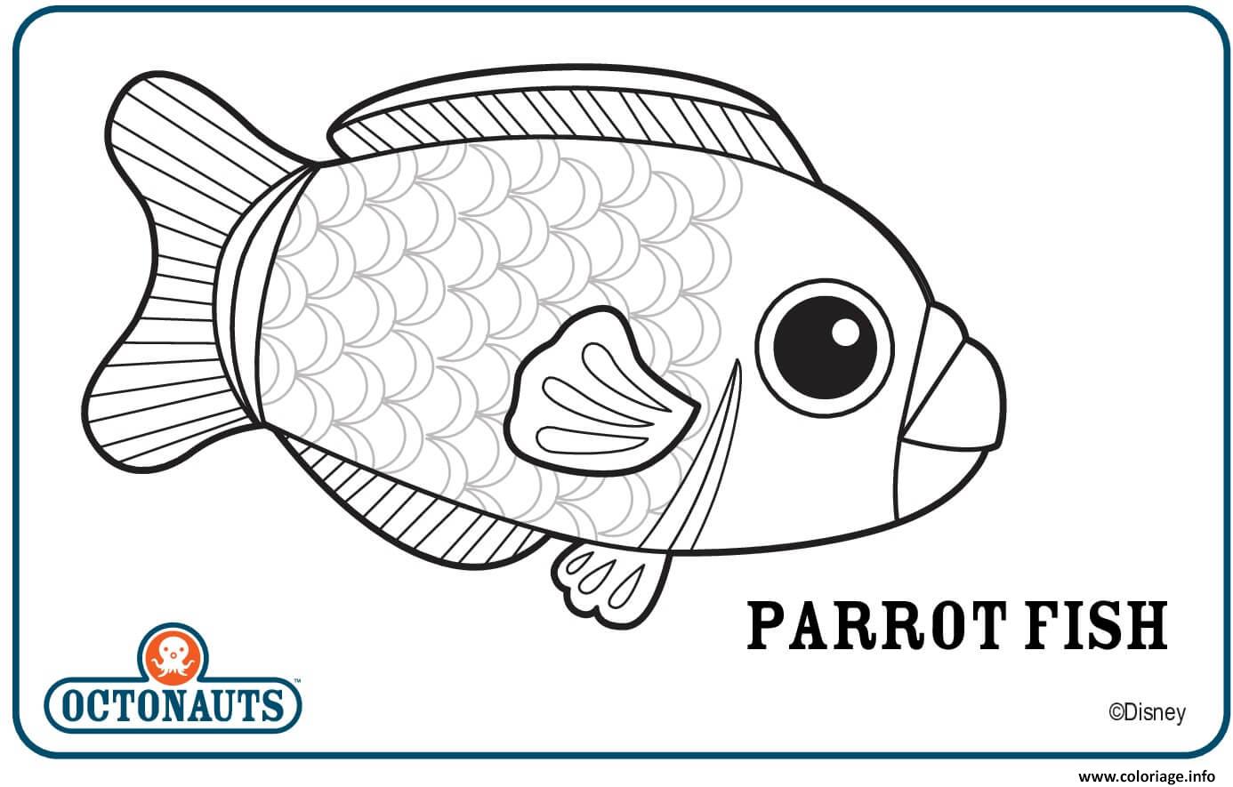 Dessin parrot fish octonaute creature Coloriage Gratuit à Imprimer