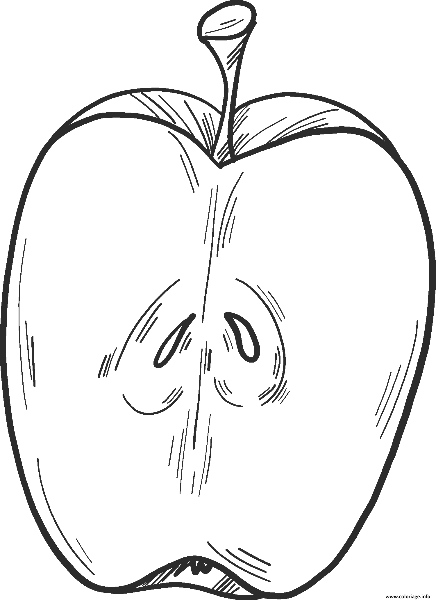 Dessin pomme ouverte coupe en deux Coloriage Gratuit à Imprimer