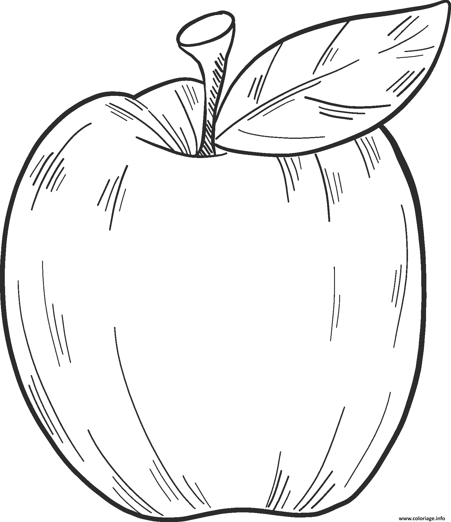 Coloriage pomme realiste facile JeColorie