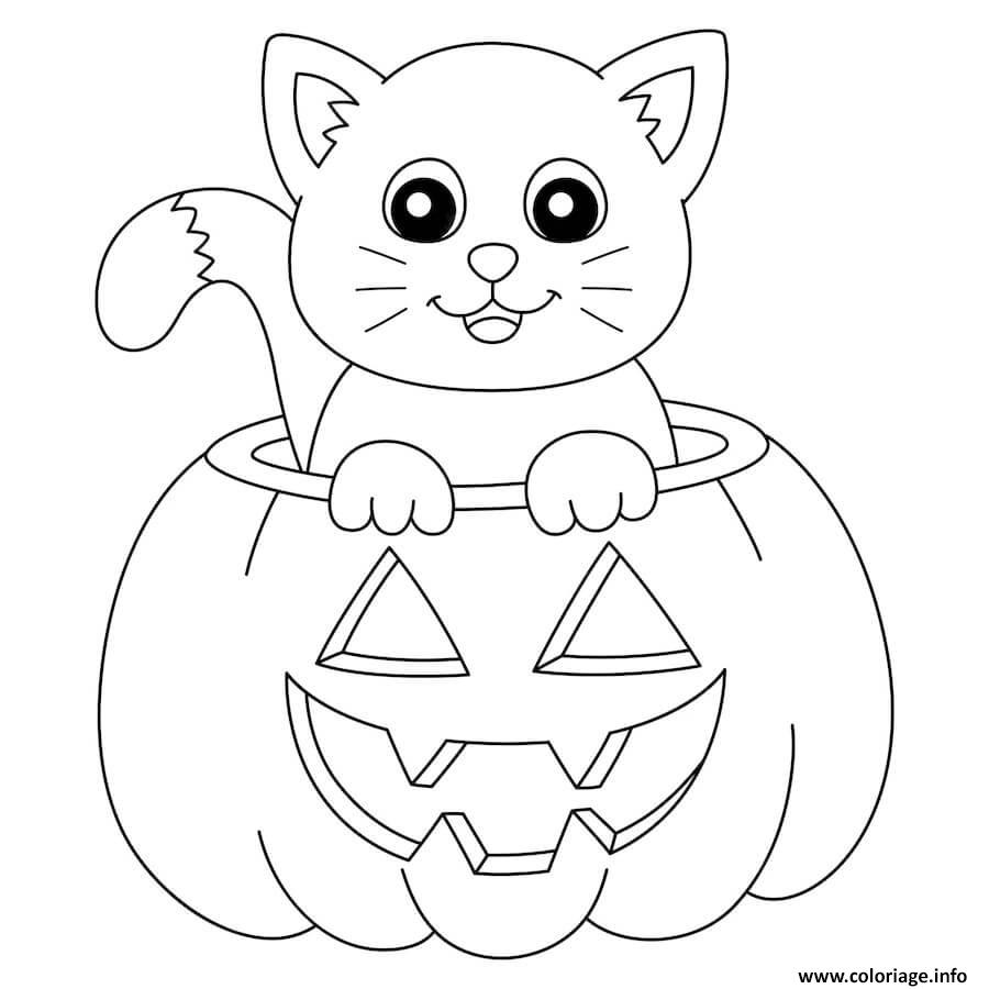 Dessin chat dans une citrouille halloween pour petit Coloriage Gratuit à Imprimer