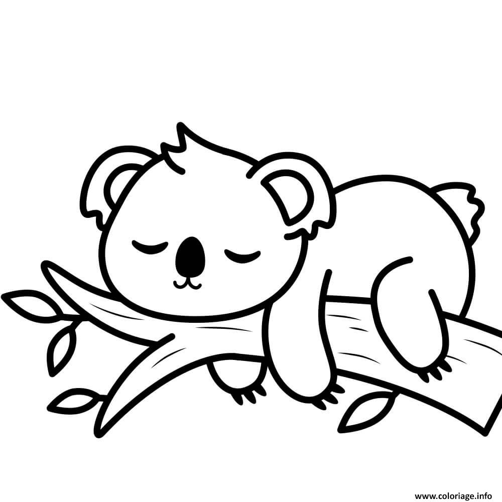 Dessin Koala endormi sur une branche Coloriage Gratuit à Imprimer
