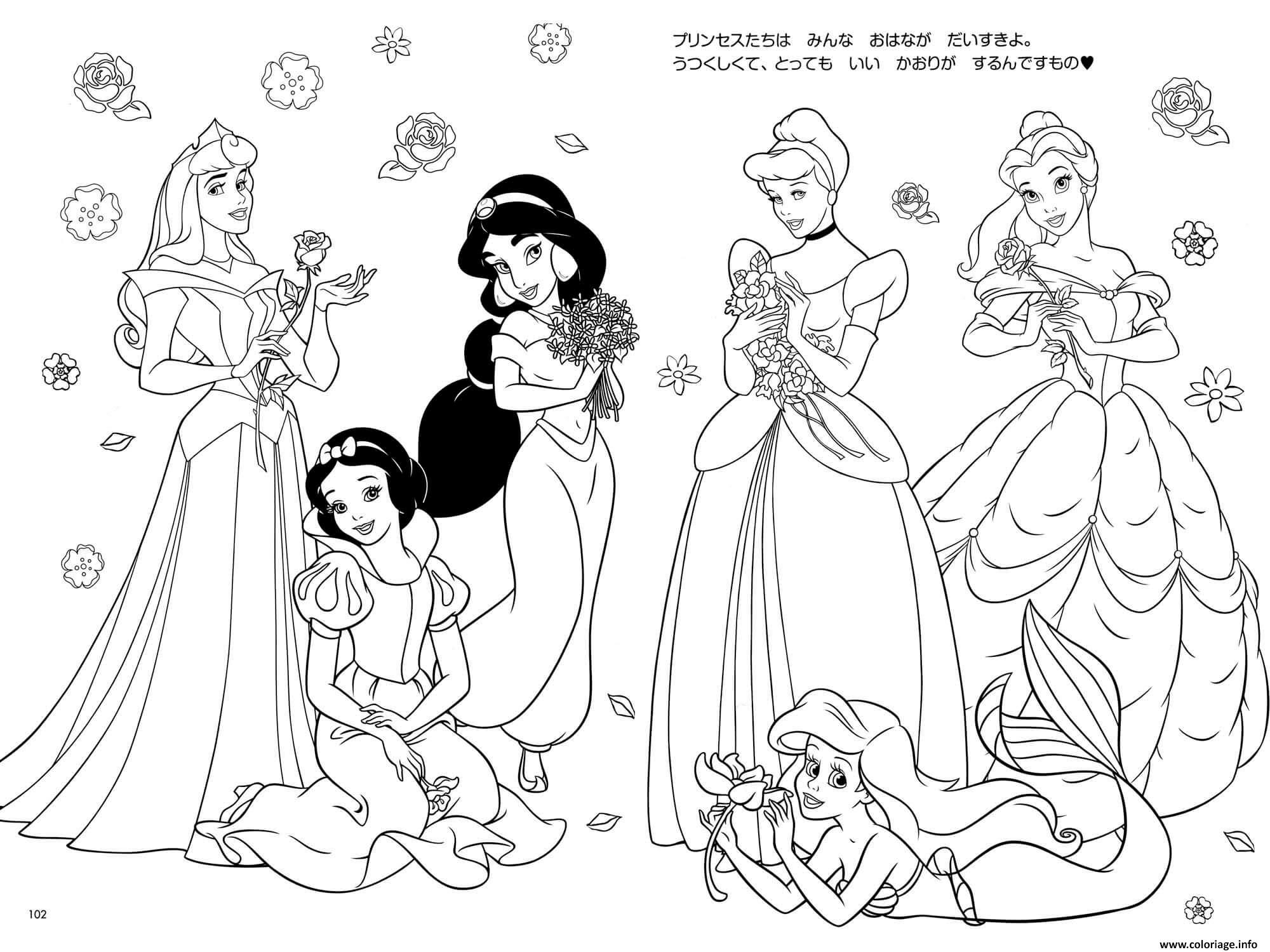 Coloriage Toutes Les Princesses De Disney Dessin Princesse Disney