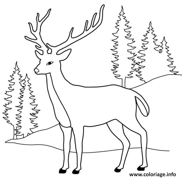 Dessin cerf dans la nature avec des sapins Coloriage Gratuit à Imprimer