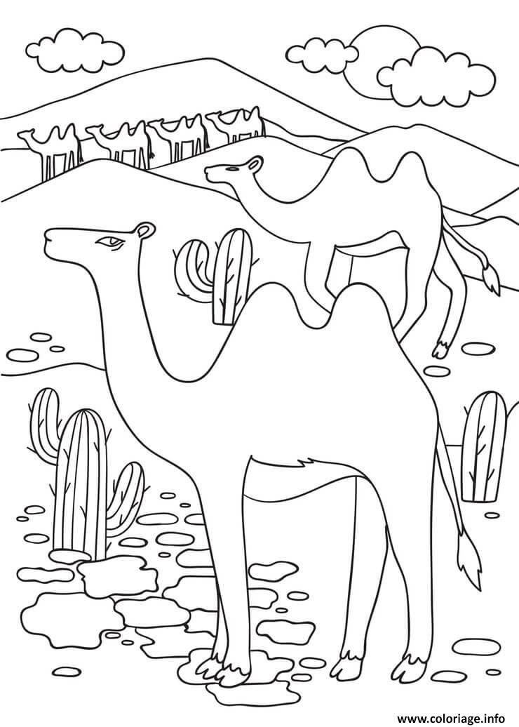 Dessin desert arabique oriental egypte chameau Coloriage Gratuit à Imprimer