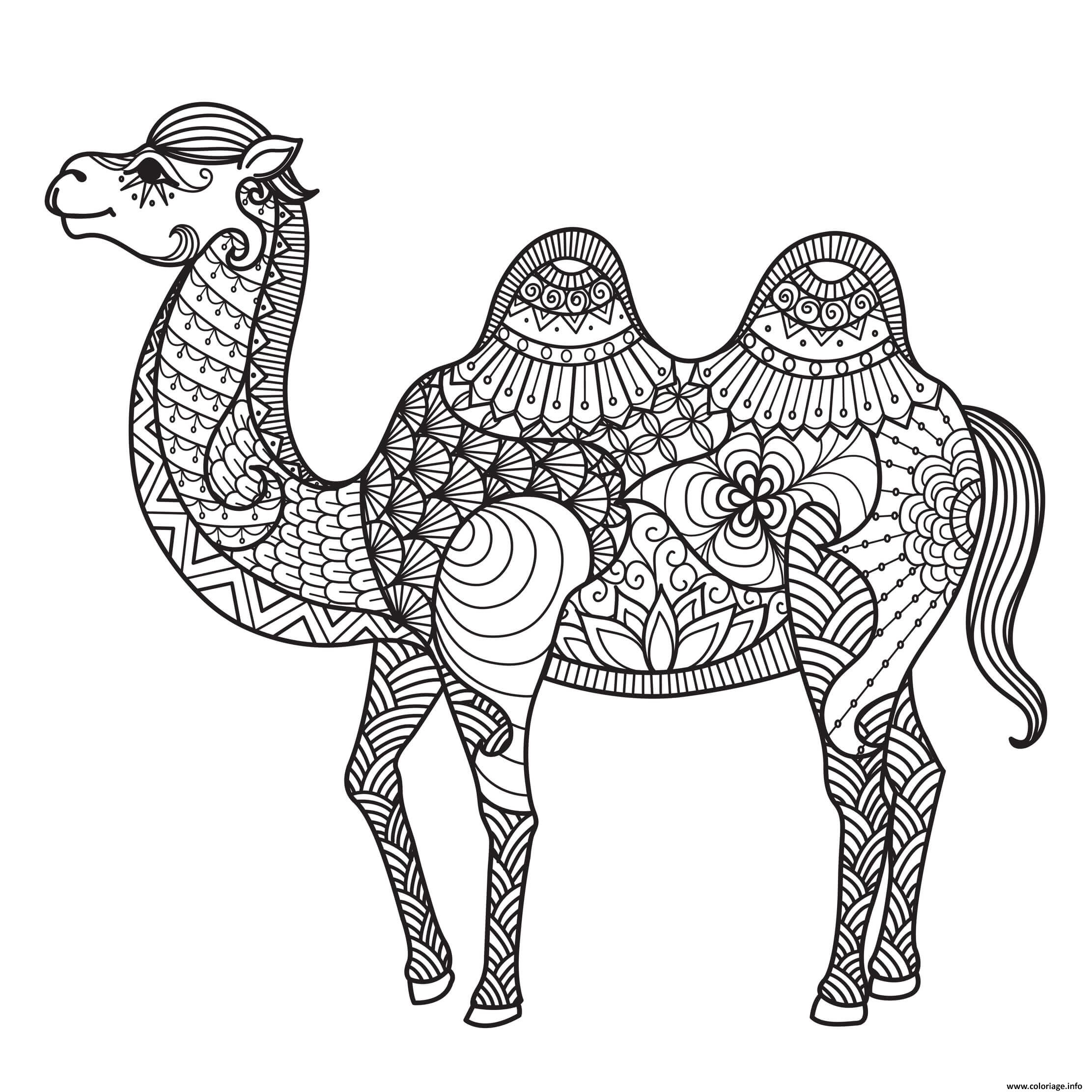 Dessin mandala egypte chameau Coloriage Gratuit à Imprimer
