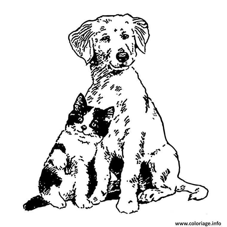 Dessin amitie chien chat dessin noir blanc Coloriage Gratuit à Imprimer