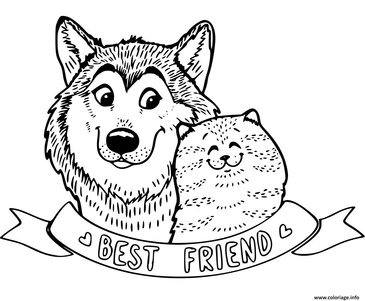 Dessin chien et chat meilleurs amis bff Coloriage Gratuit à Imprimer