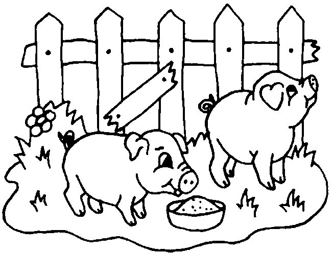 Coloriage 2 Cochons Dans Un Enclos - Animaux à imprimer