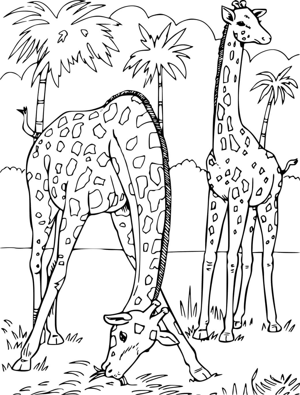 Coloriage 2 Girafes Dans La Savane - Girafe à imprimer