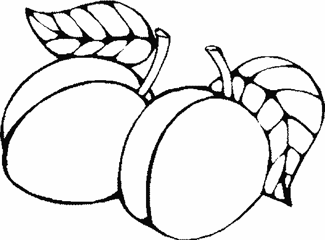 Coloriage 2 Prunes Fruit - Fruits à imprimer