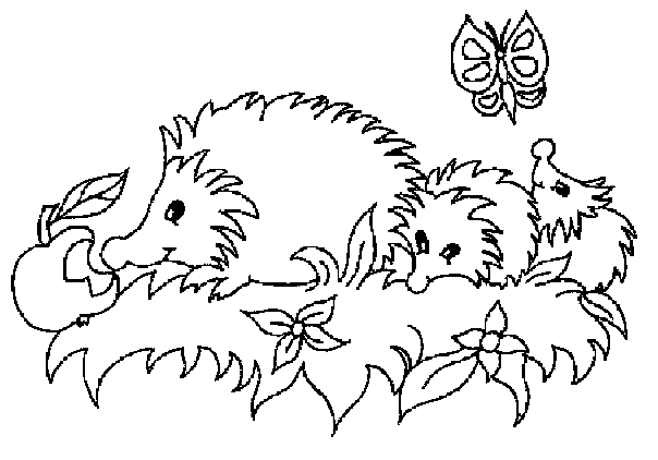 Coloriage 3 Hérissons Une Pomme Et Un Papillon - Papillon à imprimer