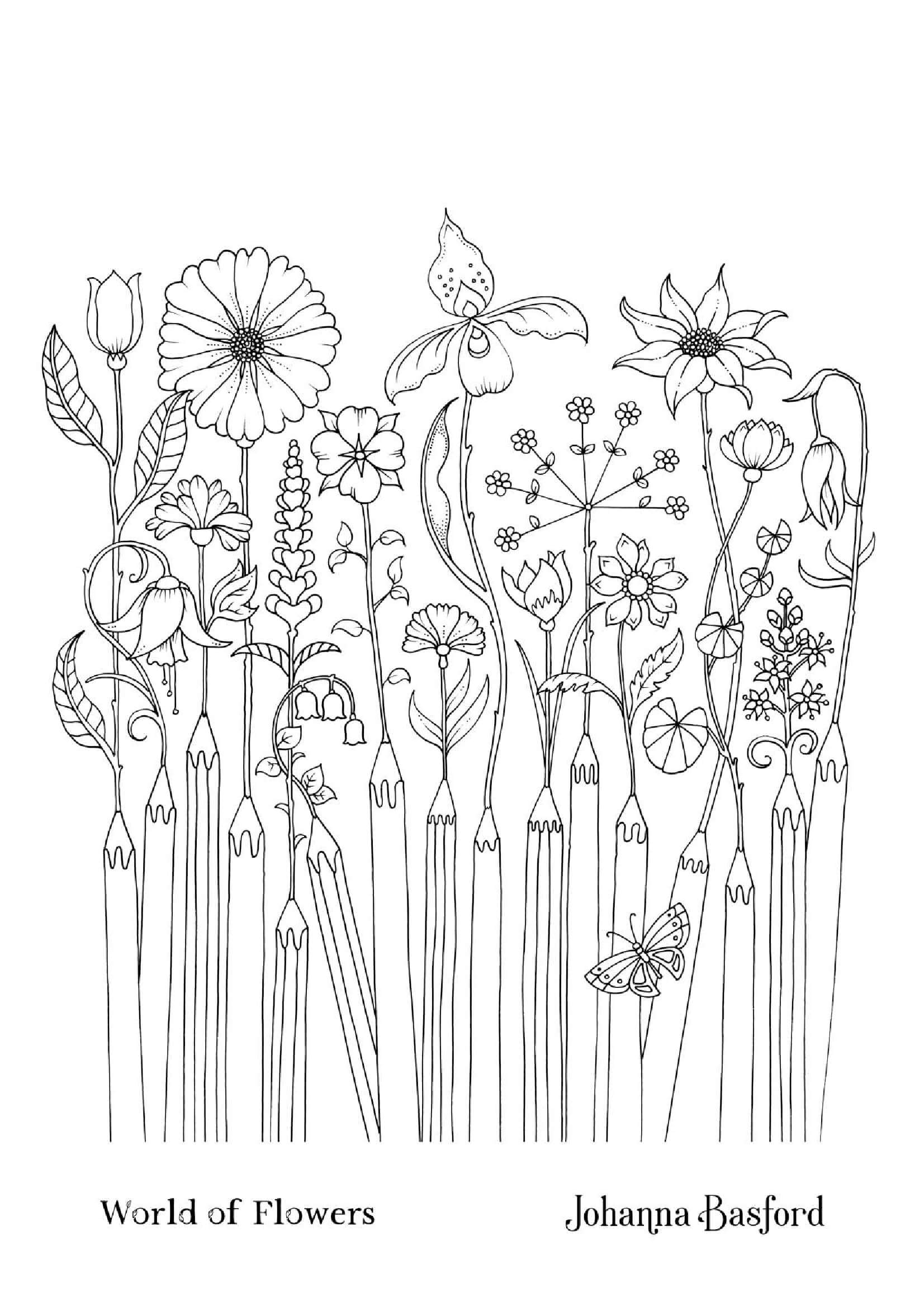 Coloriage Crayons fleuris - Monde fleuri - Adulte par johanna basford à imprimer