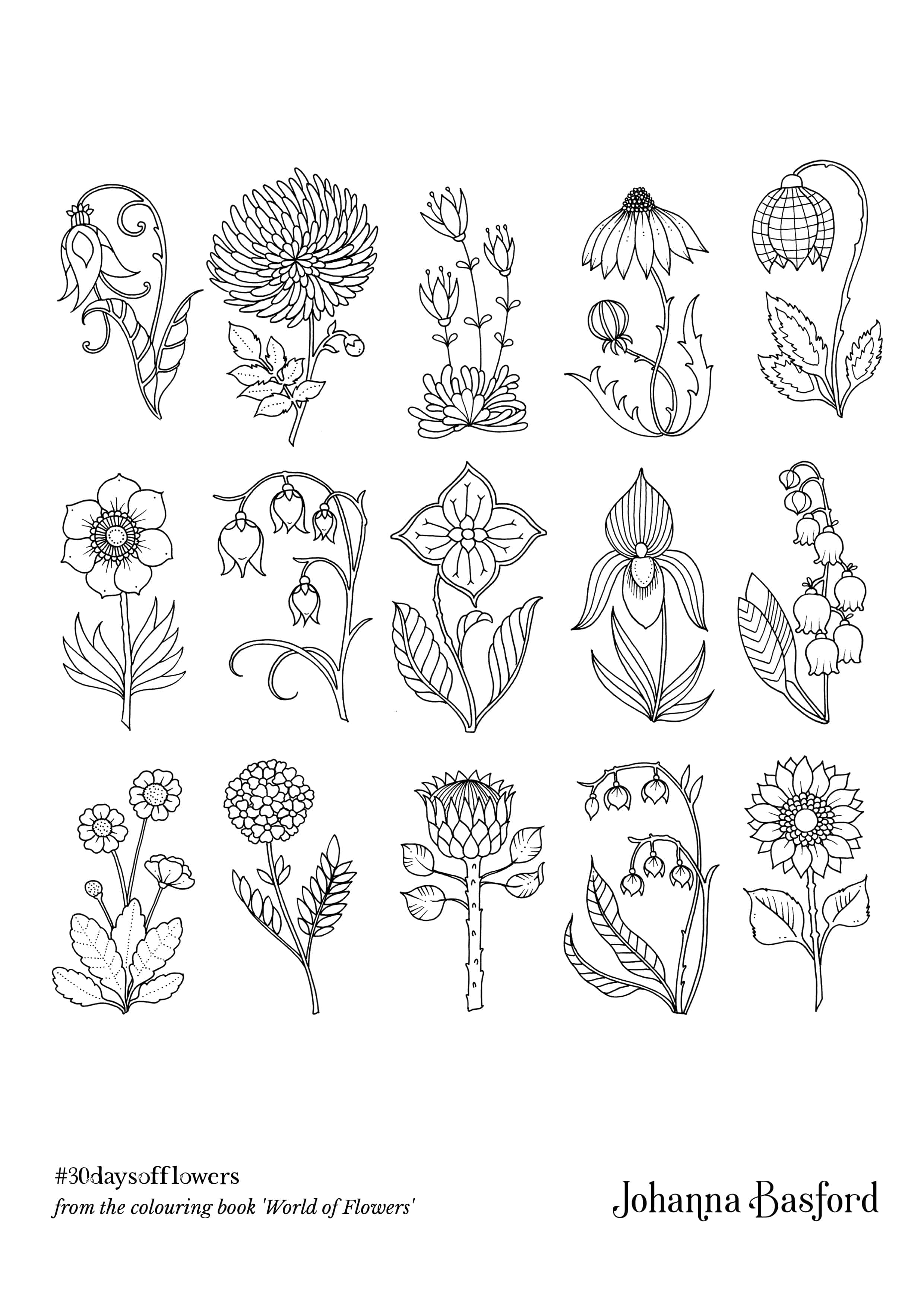 Coloriage Jardin fleuri enchanteur - Motifs botaniques détaillés - Adulte par johanna basford à imprimer