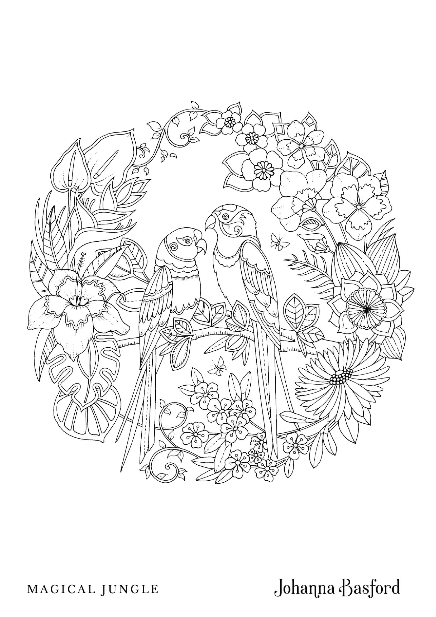 Coloriage Oiseaux d'amour de la jungle magique - Adulte par johanna basford à imprimer