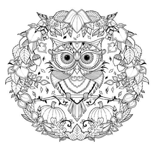 Coloriage Automne Adulte - Adulte par johanna basford à imprimer