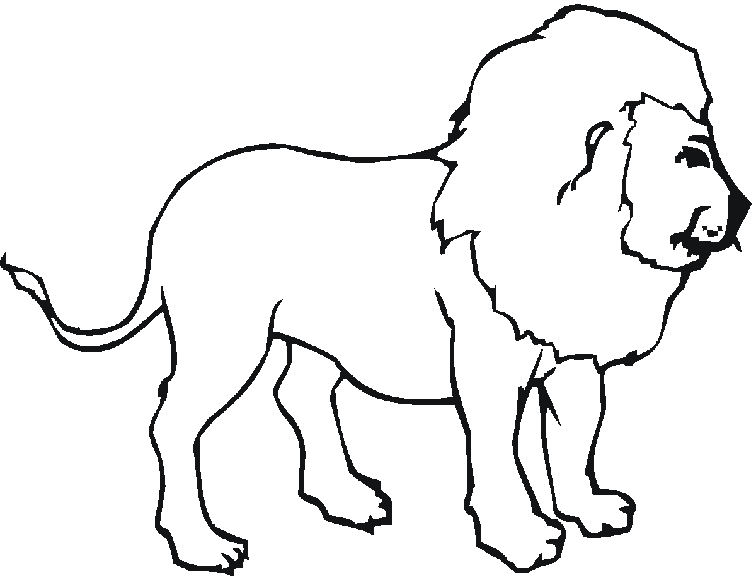 Coloriage Barbary Lion - Lion à imprimer