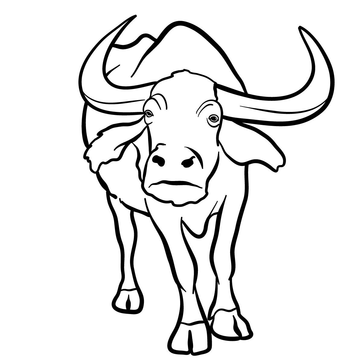 Coloriage Buffalo - Animaux sauvages à imprimer