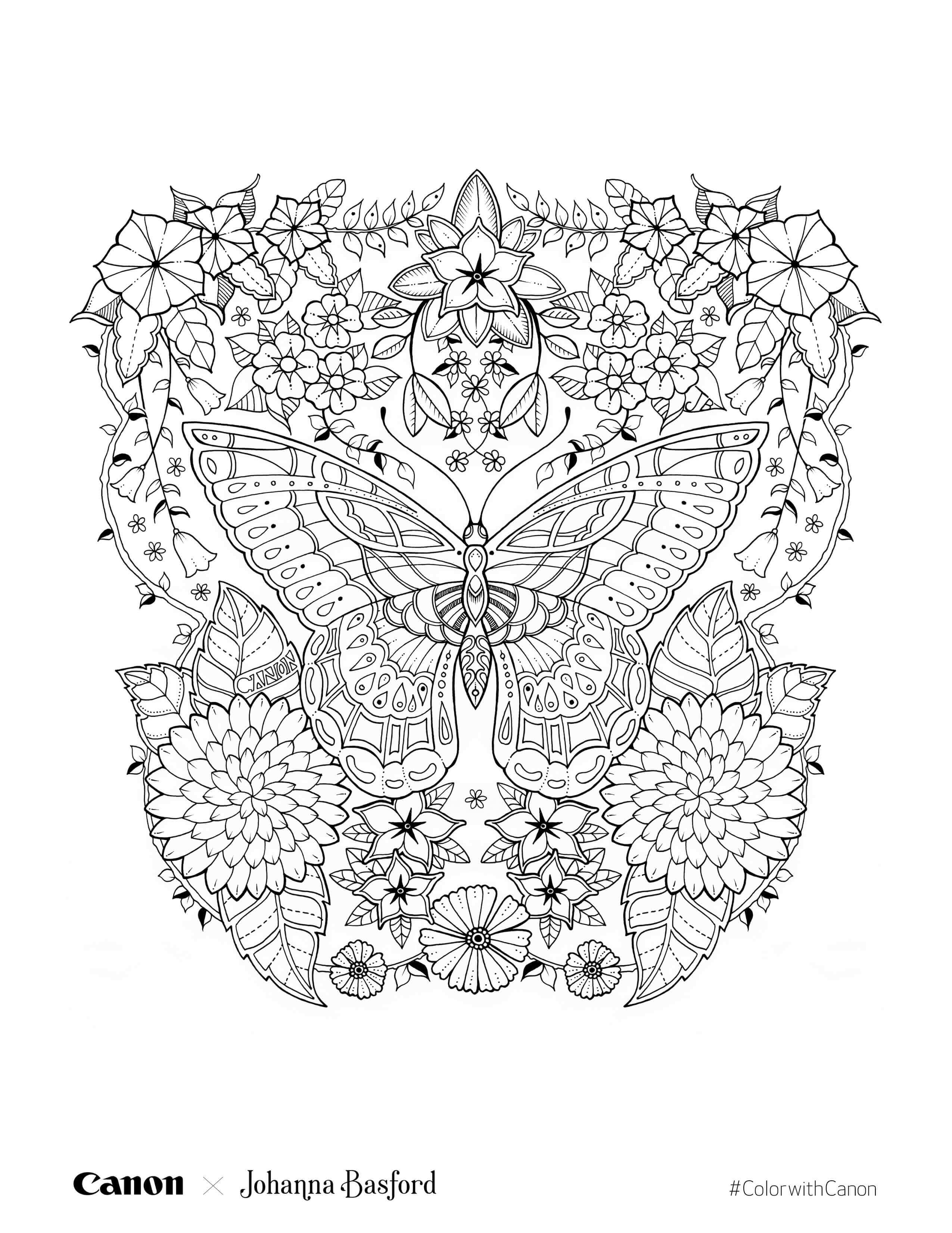 Coloriage Canon Jb Summer Exclusive - Adulte par johanna basford à imprimer
