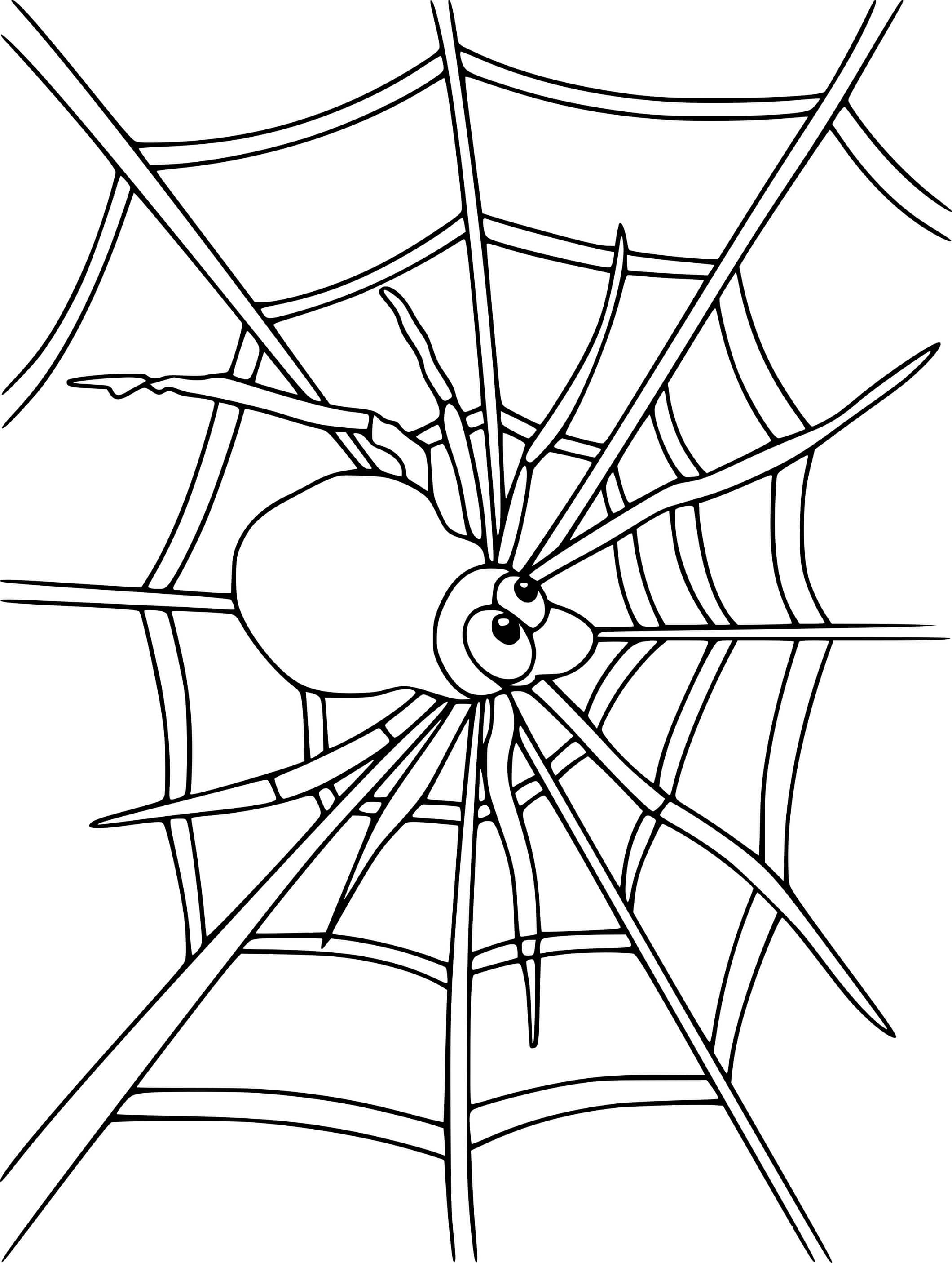 Coloriage Araignée dessinée amusante - Araignée à imprimer