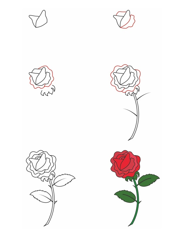Coloriage Comment Dessiner Une Rose - Comment dessiner à imprimer