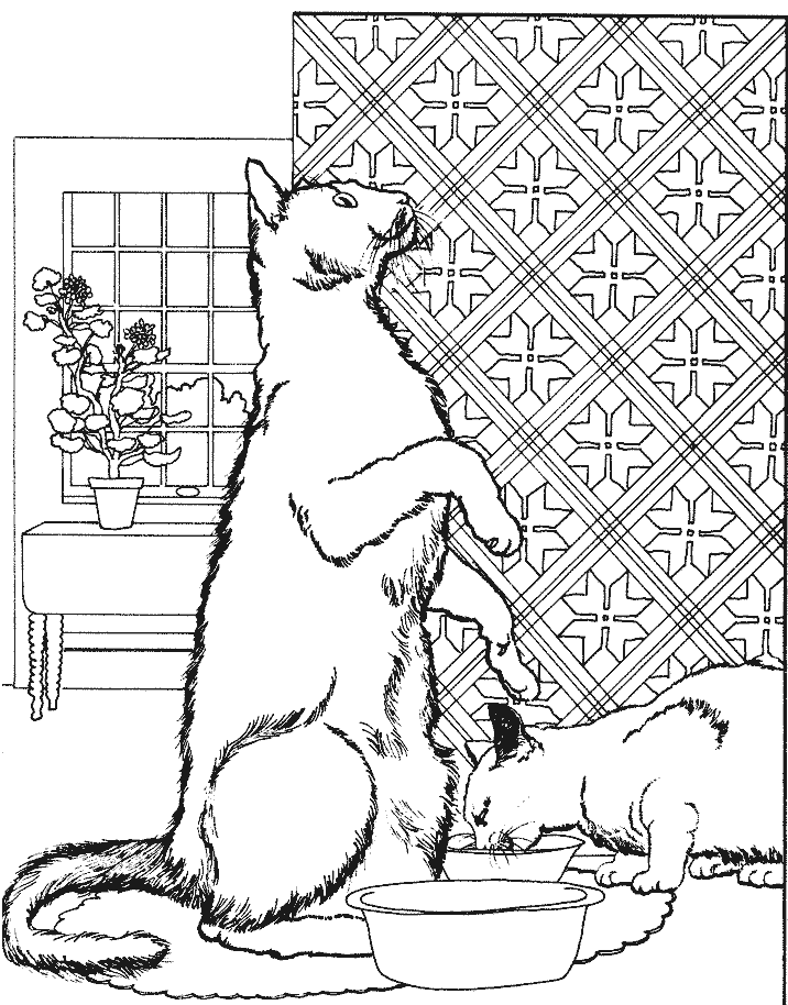 Coloriage Deux Chats Qui Mangent Leur Repas - Chat à imprimer