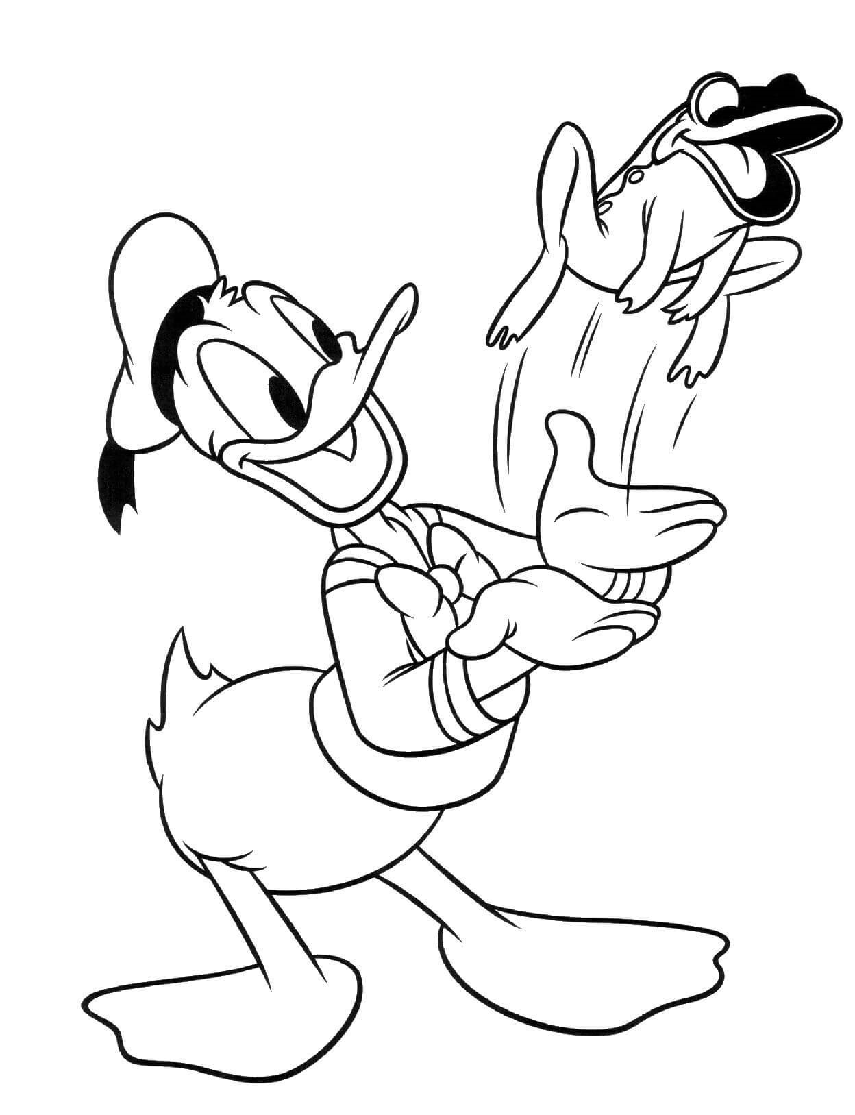 Coloriage Donald Duck Avec Une Grenouille - Alphabet disney à imprimer