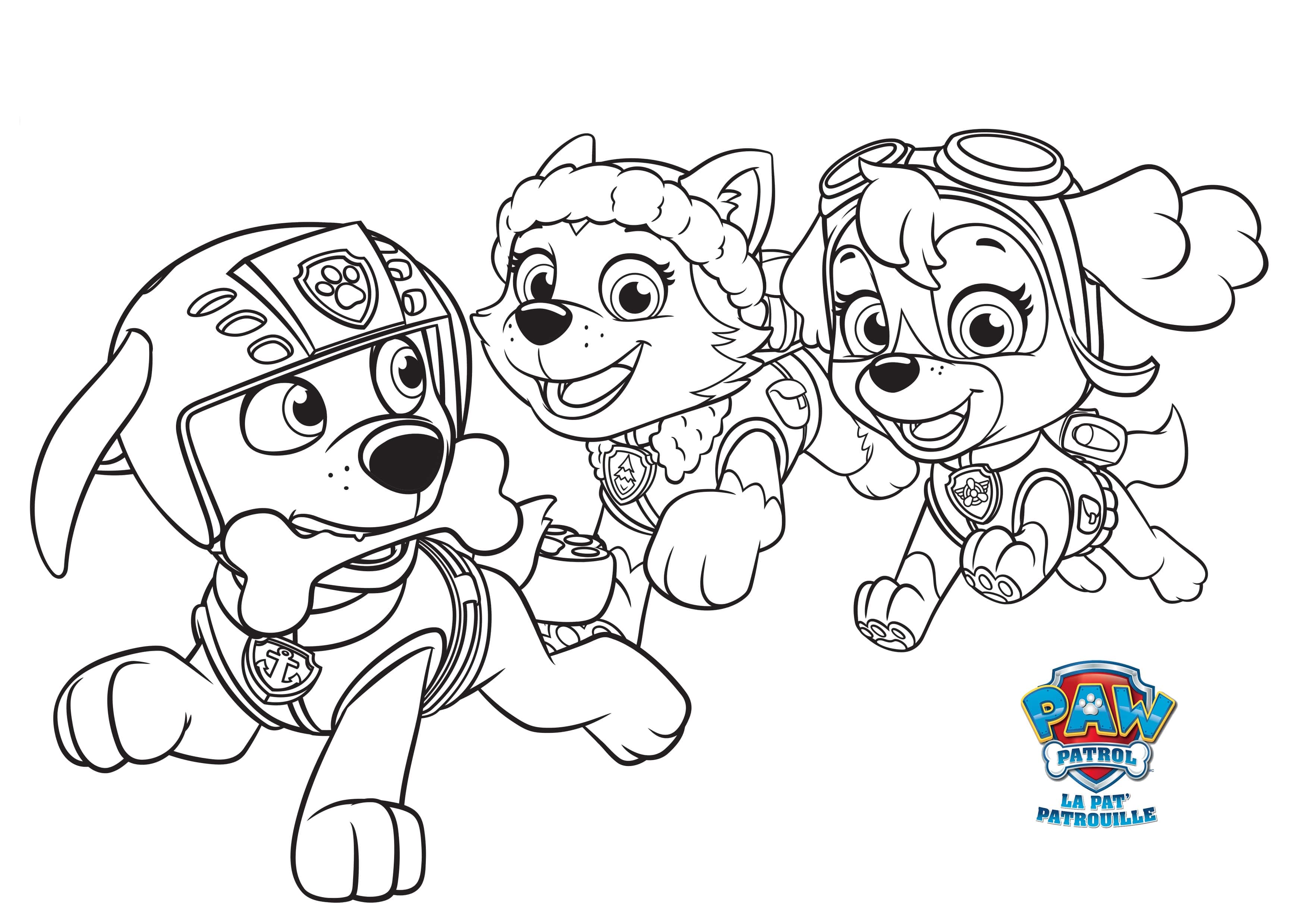 Coloriage Everest Stella et Zuma Pat Patrouille - Paw patrol à imprimer