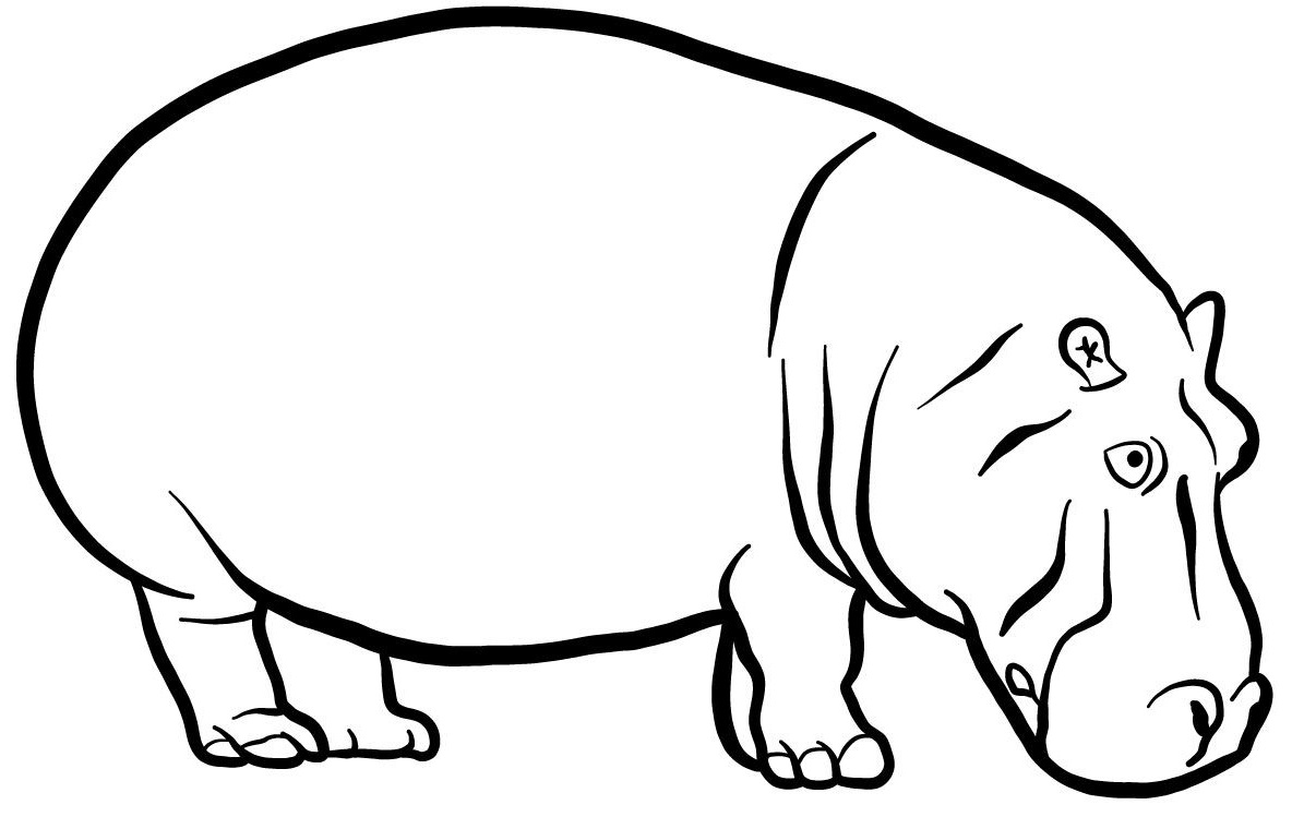 Coloriage Hippopotamus - Animaux sauvages à imprimer