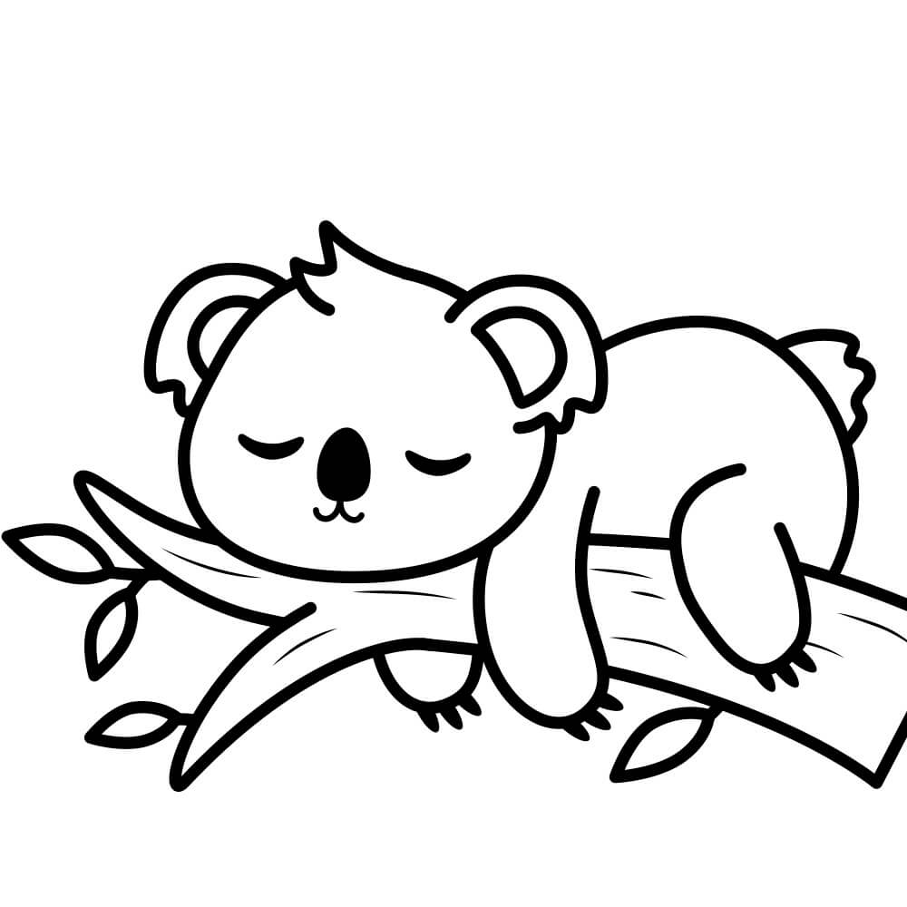 Coloriage Koala Endormi Sur Une Branche - Koala à imprimer