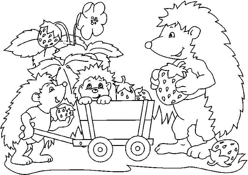 Coloriage Les Hérissons Ramassent Les Fraises - Hérisson à imprimer