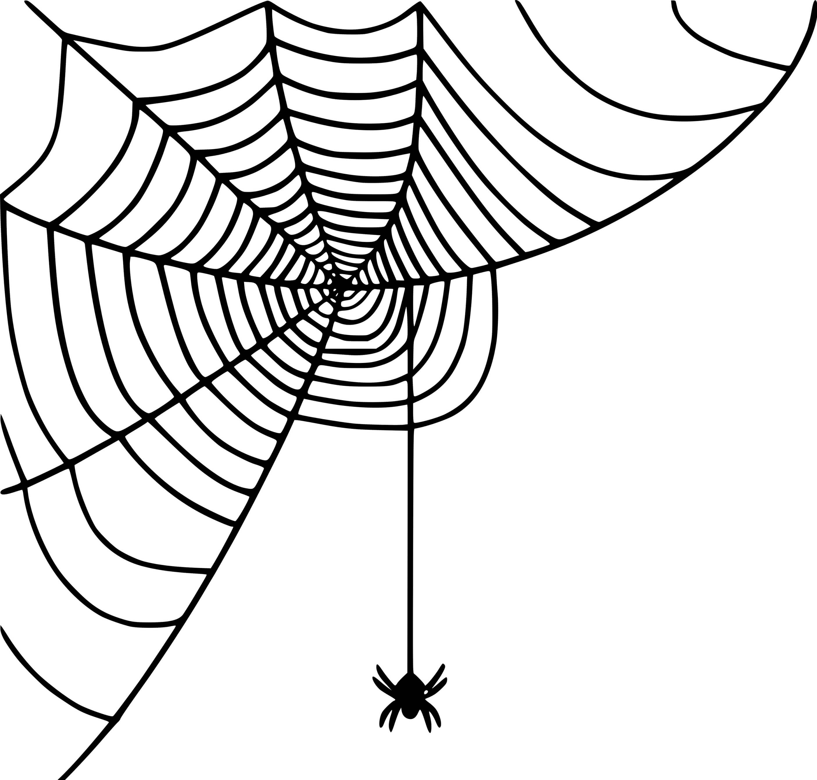 Coloriage Petite araignée qui tisse - Araignée à imprimer
