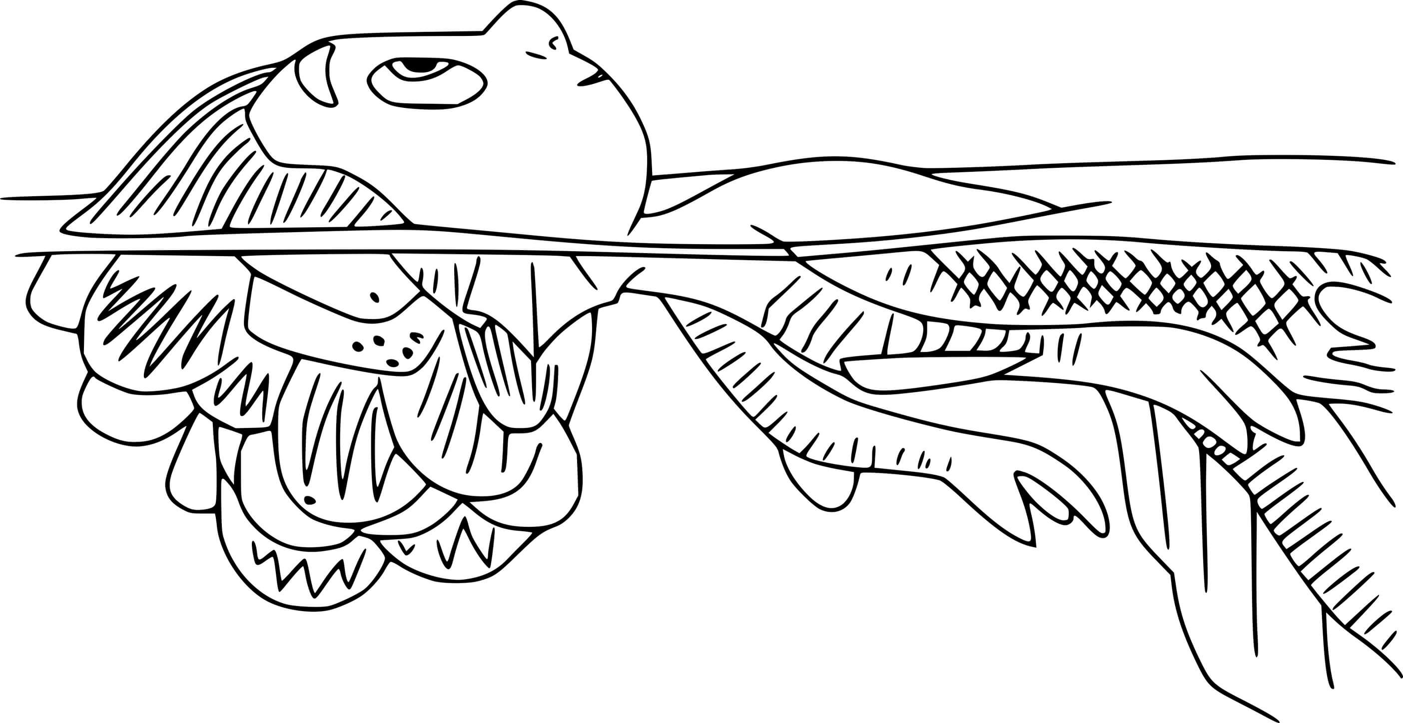 Coloriage Luca Paguro Backstroking - Luca de Disney Pixar à imprimer