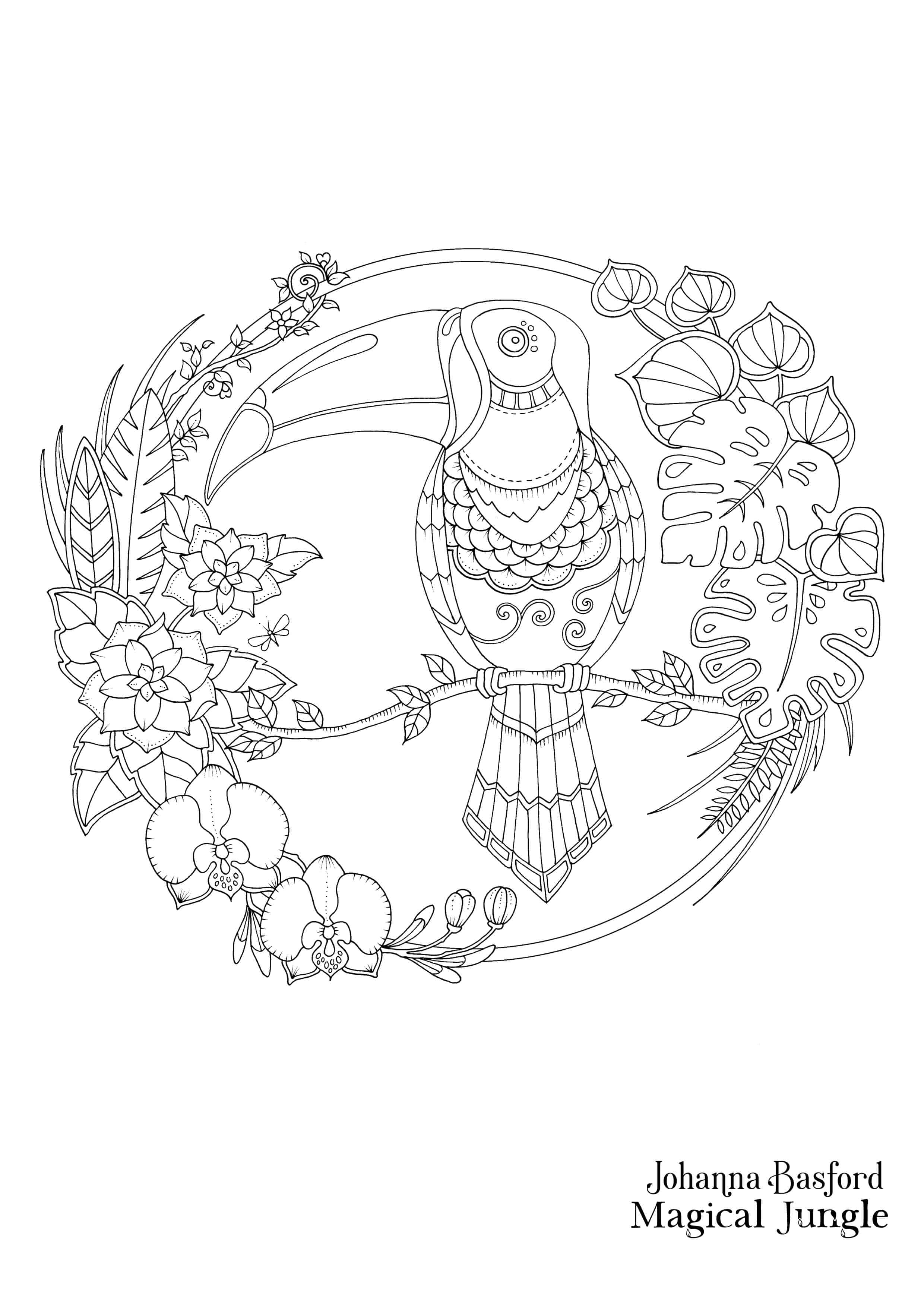 Coloriage Magical Jungle Toucan Adulte - Adulte par johanna basford à imprimer