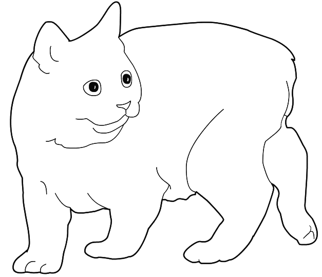 Coloriage Manx Chat De L'Île De Man - Chat à imprimer