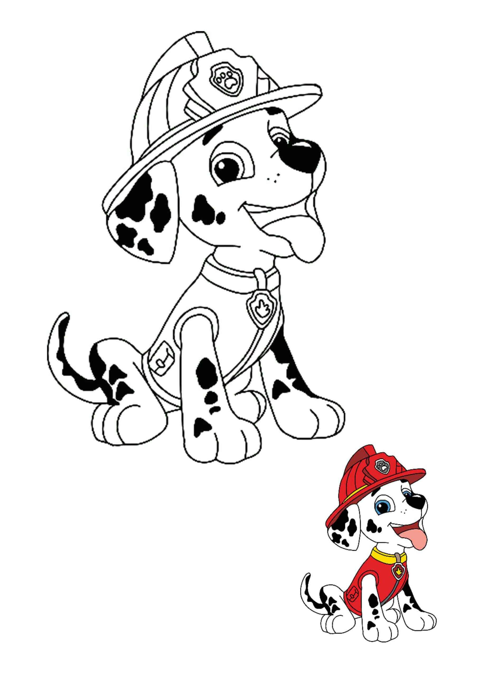 Coloriage Marcus Pompier Dalmatien Pat Patrouille - Paw patrol à imprimer
