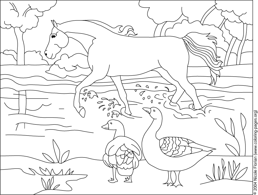 Coloriage Nature Animaux Paysage - Nature à imprimer