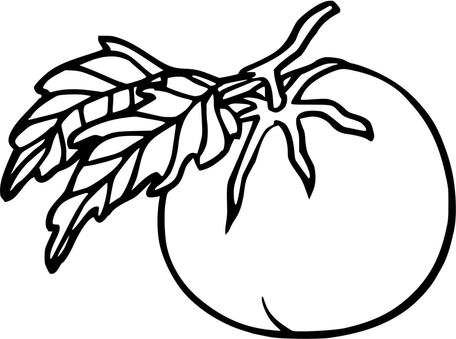Coloriage Nature Légumes Tomate - Tomate à imprimer