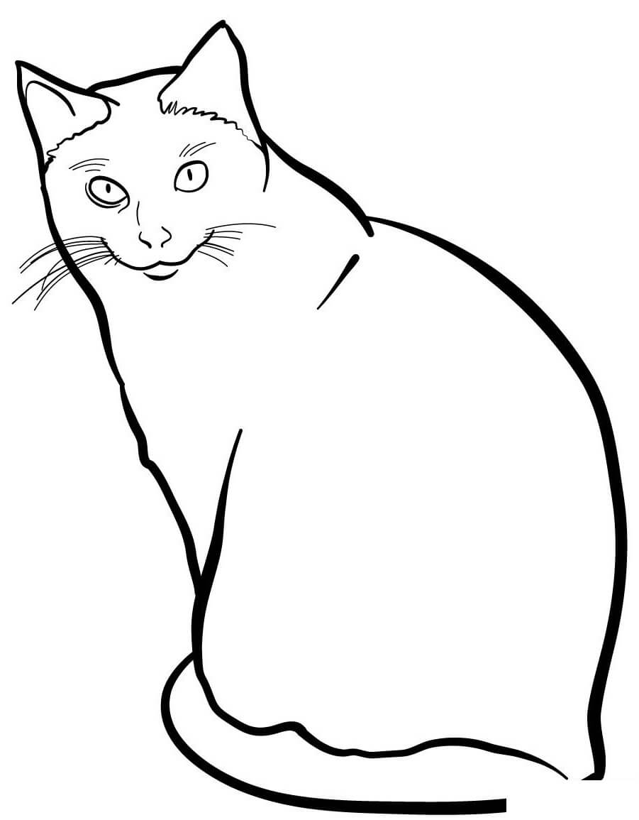 Coloriage Originaire De La Thailande Le Siamois Possede Une Couleur Des Yeux Très Clair - Chat à imprimer