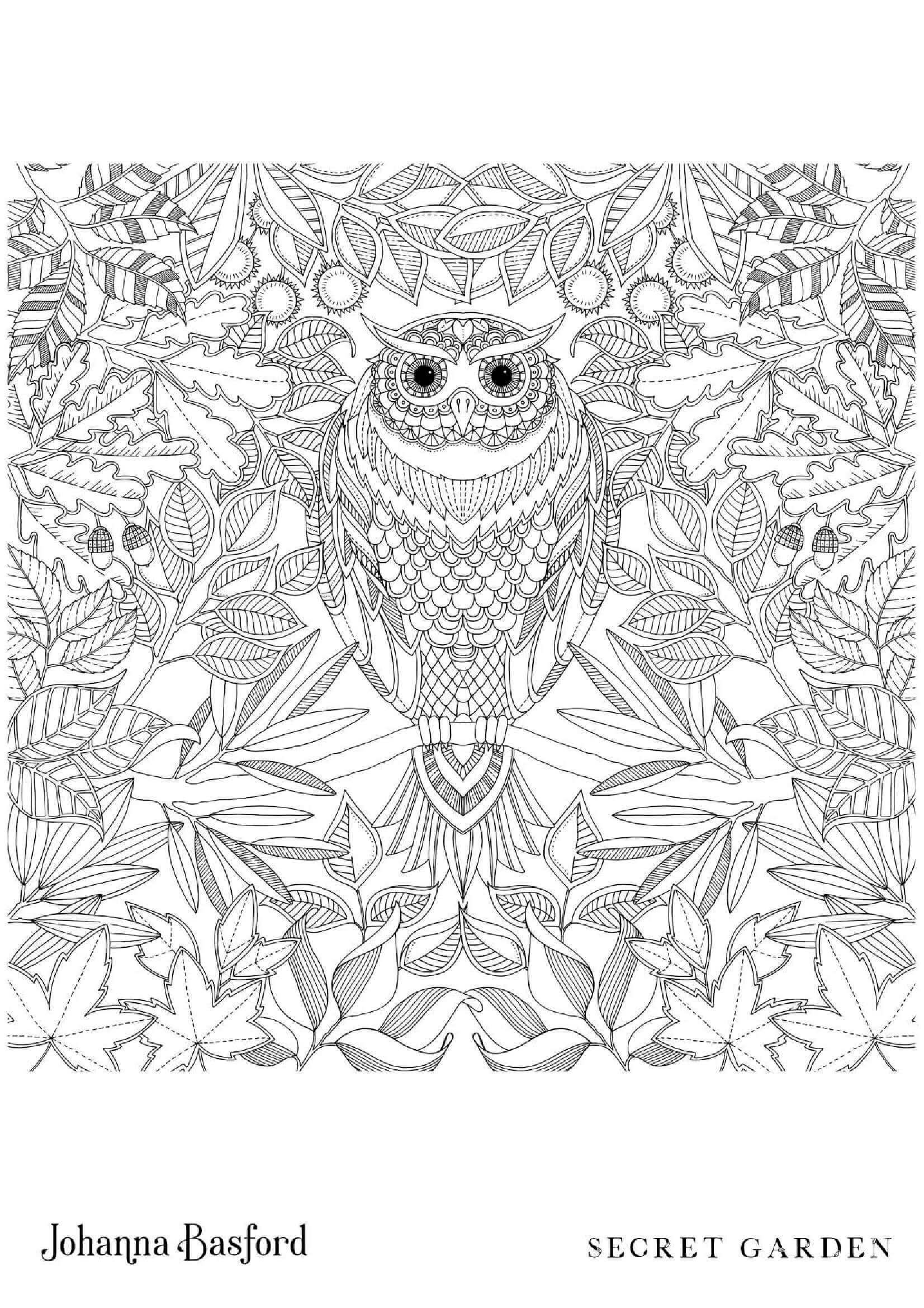 Coloriage Hibou du jardin secret - Adulte par johanna basford à imprimer