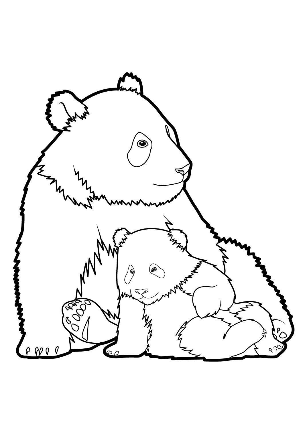 Coloriage Petit panda gourmand avec feuille de bambou - Gulli à imprimer