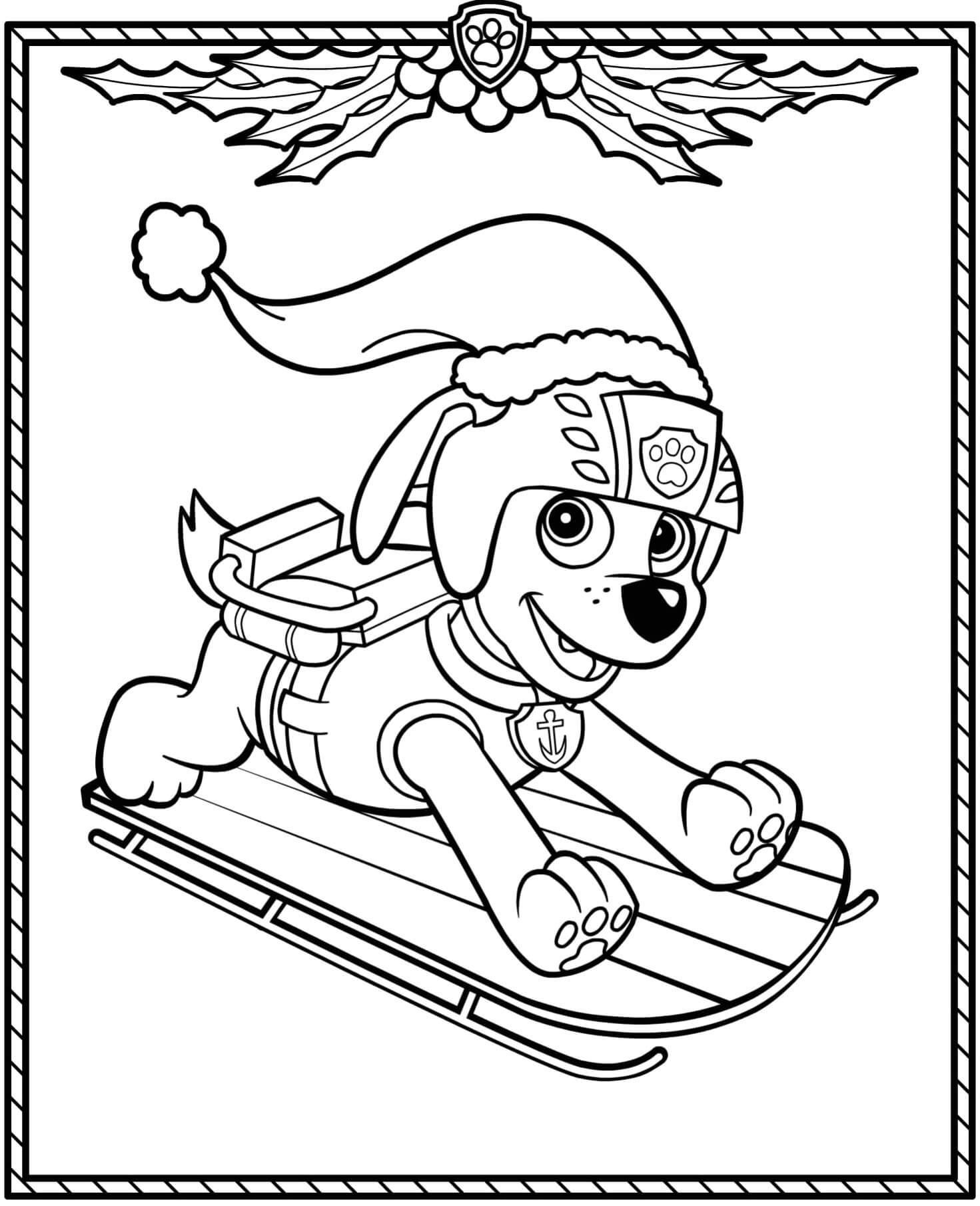 Coloriage Pat patrouille Noël zuma adore l'eau - Pat patrouille noel à imprimer