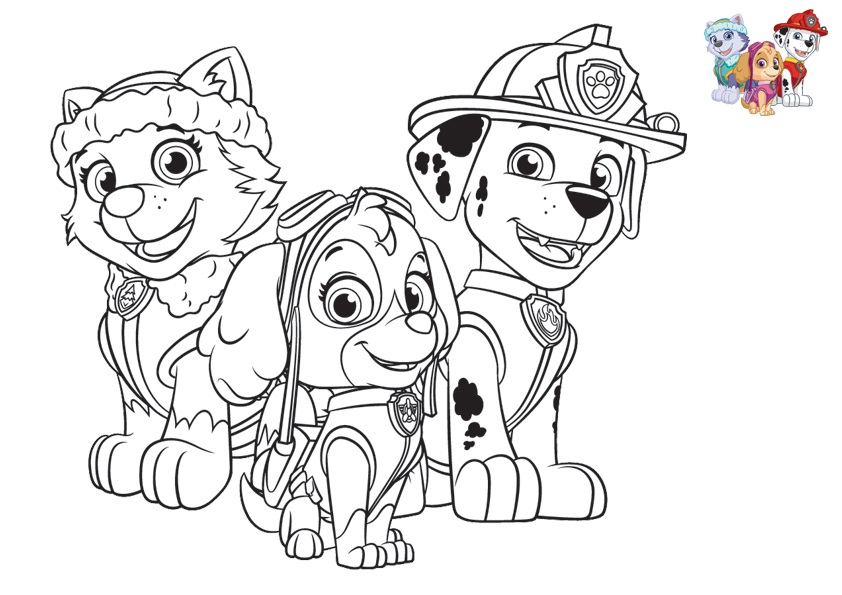 Coloriage Pat Patrouille Avec Stella Everest Marcus - Stella à imprimer